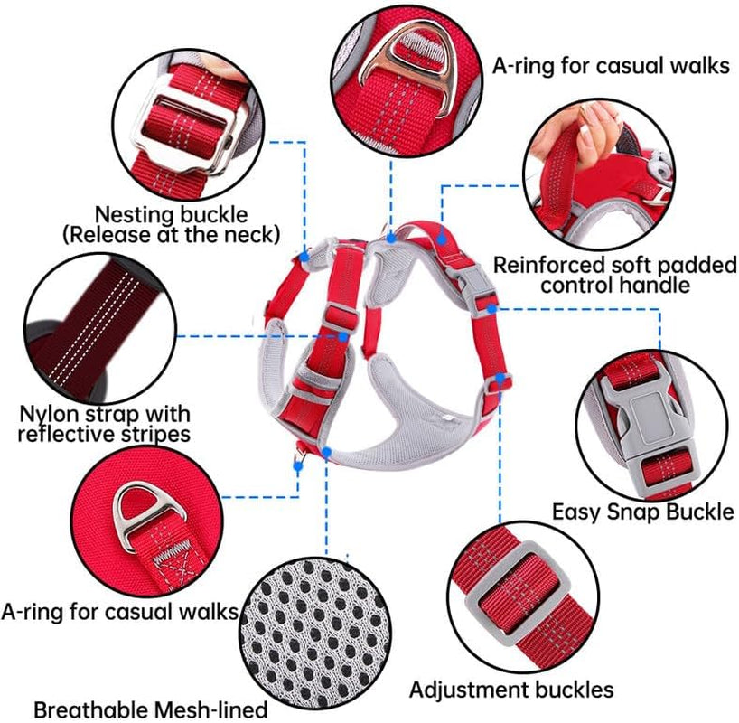 Dog Harness and Leash Set – Adjustable Dog Collar and Vest Harness for Dogs, Durable Pechera Para Perros Medianos – Arnes Perro with Leash– S, M, L, XL Dog Harness and Leash Set