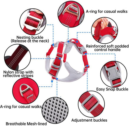Dog Harness and Leash Set – Adjustable Dog Collar and Vest Harness for Dogs, Durable Pechera Para Perros Medianos – Arnes Perro with Leash– S, M, L, XL Dog Harness and Leash Set