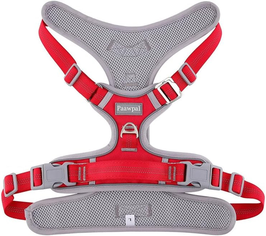 Dog Harness and Leash Set – Adjustable Dog Collar and Vest Harness for Dogs, Durable Pechera Para Perros Medianos – Arnes Perro with Leash– S, M, L, XL Dog Harness and Leash Set