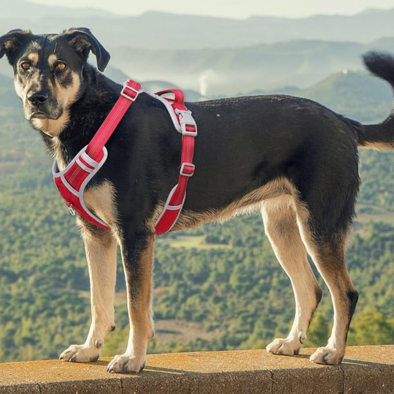 Dog Harness and Leash Set – Adjustable Dog Collar and Vest Harness for Dogs, Durable Pechera Para Perros Medianos – Arnes Perro with Leash– S, M, L, XL Dog Harness and Leash Set