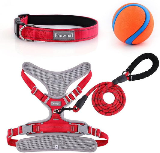 Dog Harness and Leash Set – Adjustable Dog Collar and Vest Harness for Dogs, Durable Pechera Para Perros Medianos – Arnes Perro with Leash– S, M, L, XL Dog Harness and Leash Set